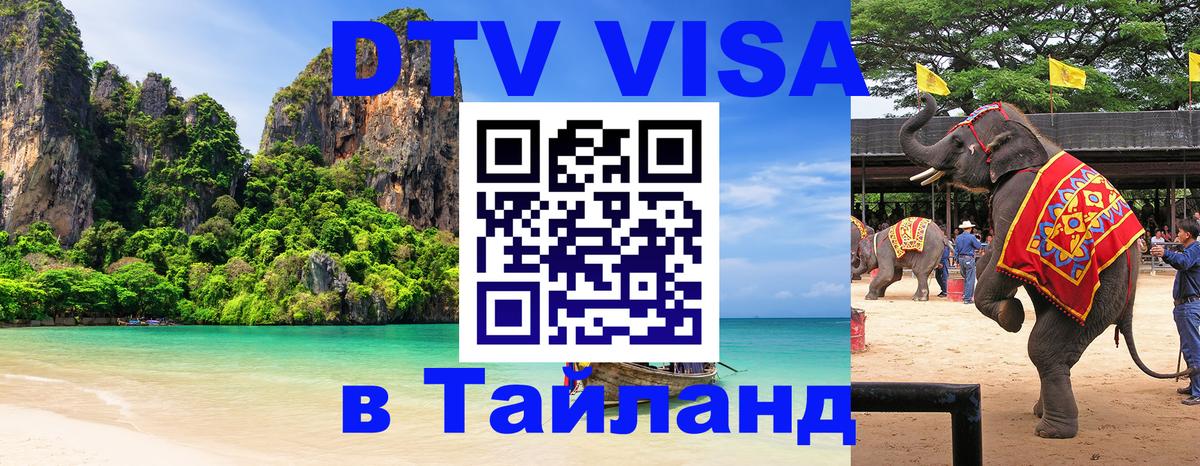 Оформление DTV визы под ключ: стоимость и тарифы, только загранпаспорт - Ставрополь 